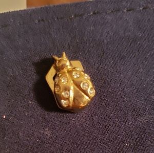 Keep collective gold ladybug